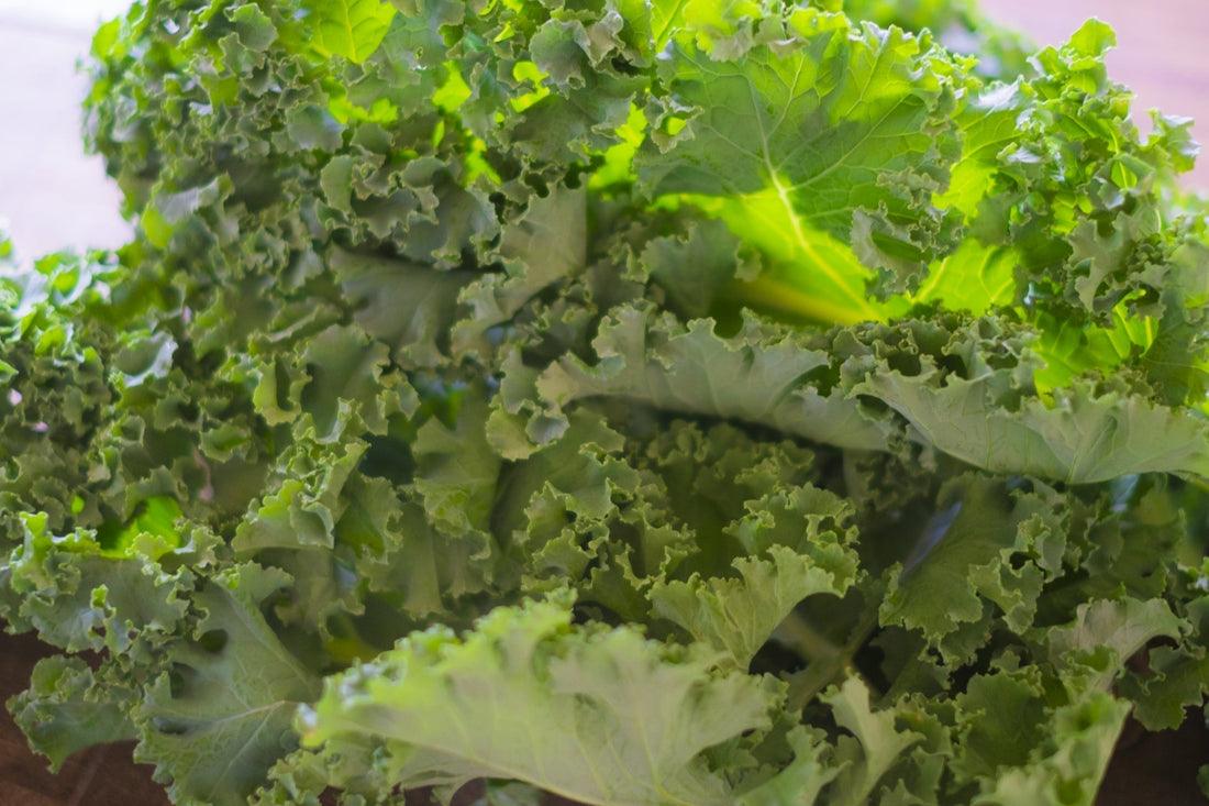 ケール(Kale)