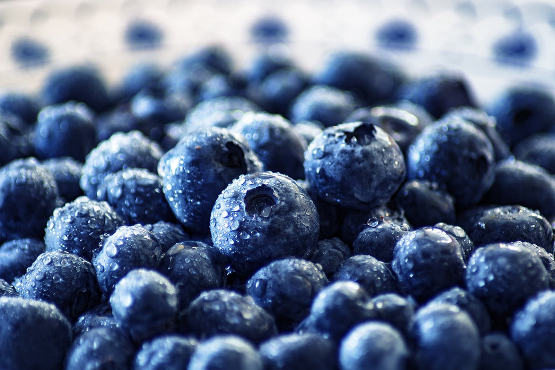 ブルーベリー(Blueberry)