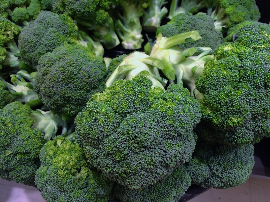 ブロッコリー(Broccoli)