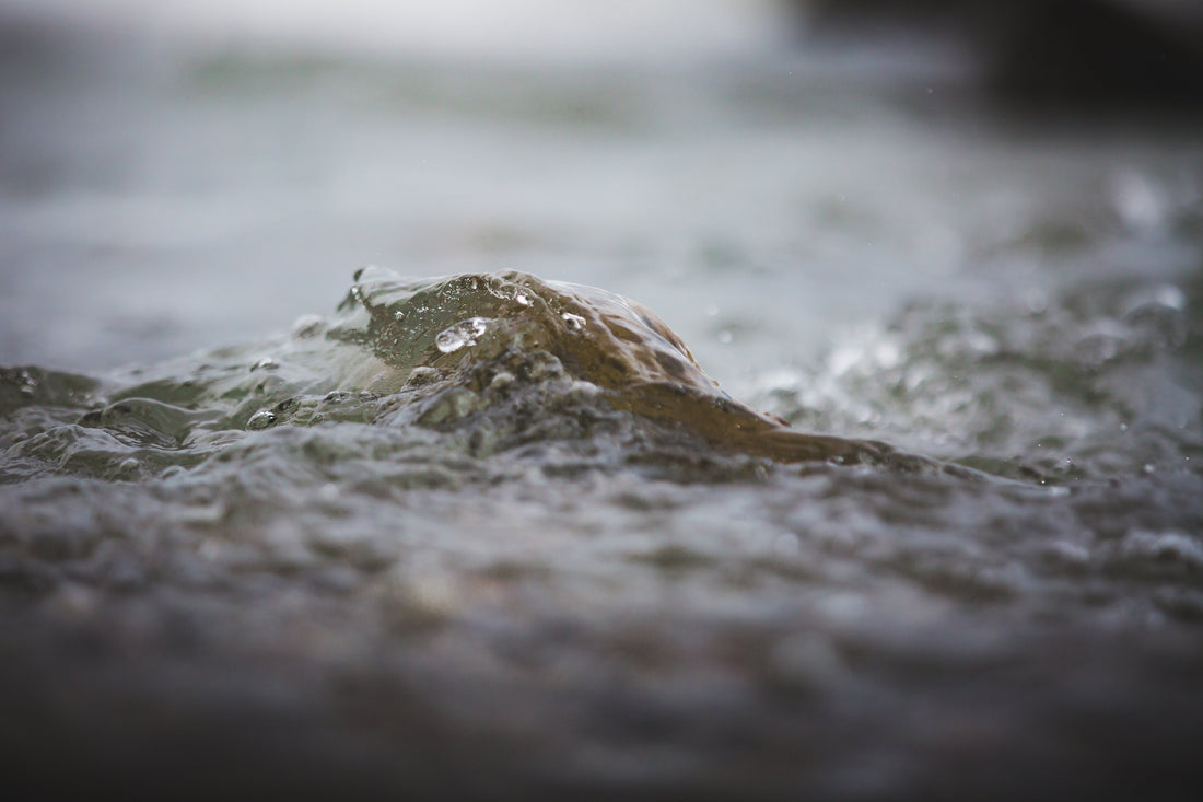 水分(Moisture)