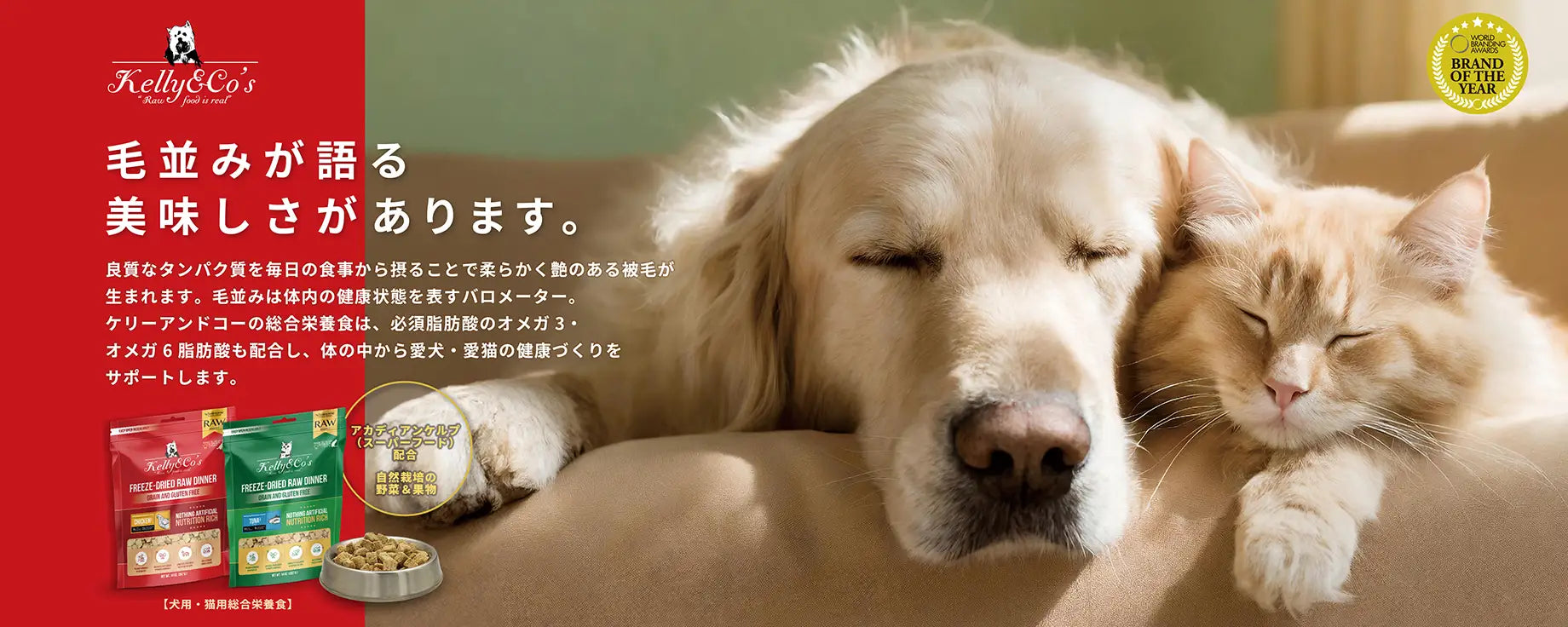 毛並みが語る美味しさがあります。 良質なタンパク質を毎日の食事から摂ることで柔らかく艶のある被毛が生まれます。毛並みは体内の健康状態を表すバロメーター。ケリーアンドコーの総合栄養食は、必須脂肪酸のオメガ3・オメガ6脂肪酸も配合し、体の中から愛犬・愛猫の健康づくりをサポートします。