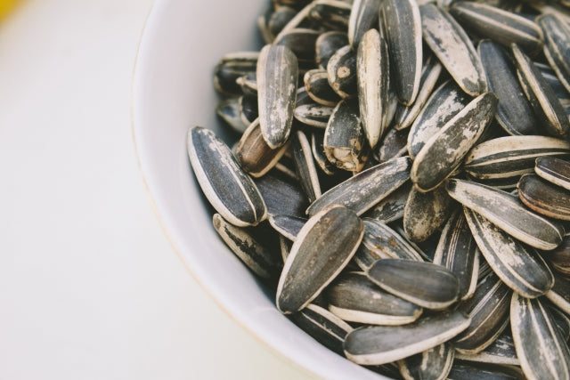 ヒマワリの種（Sunflower Seeds）