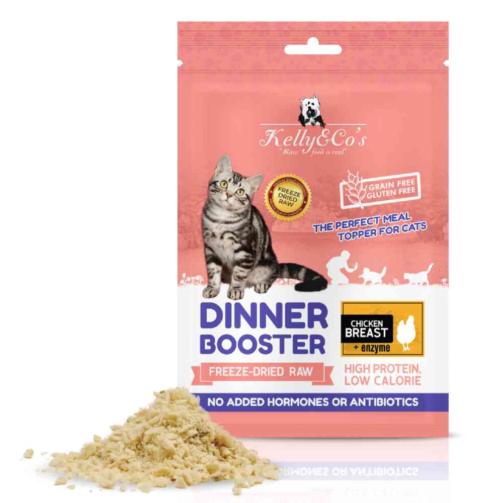 お得！！キャットフード 5点セット！！ Amazon | ペットライン 懐石zeppin キャットフード 5つの