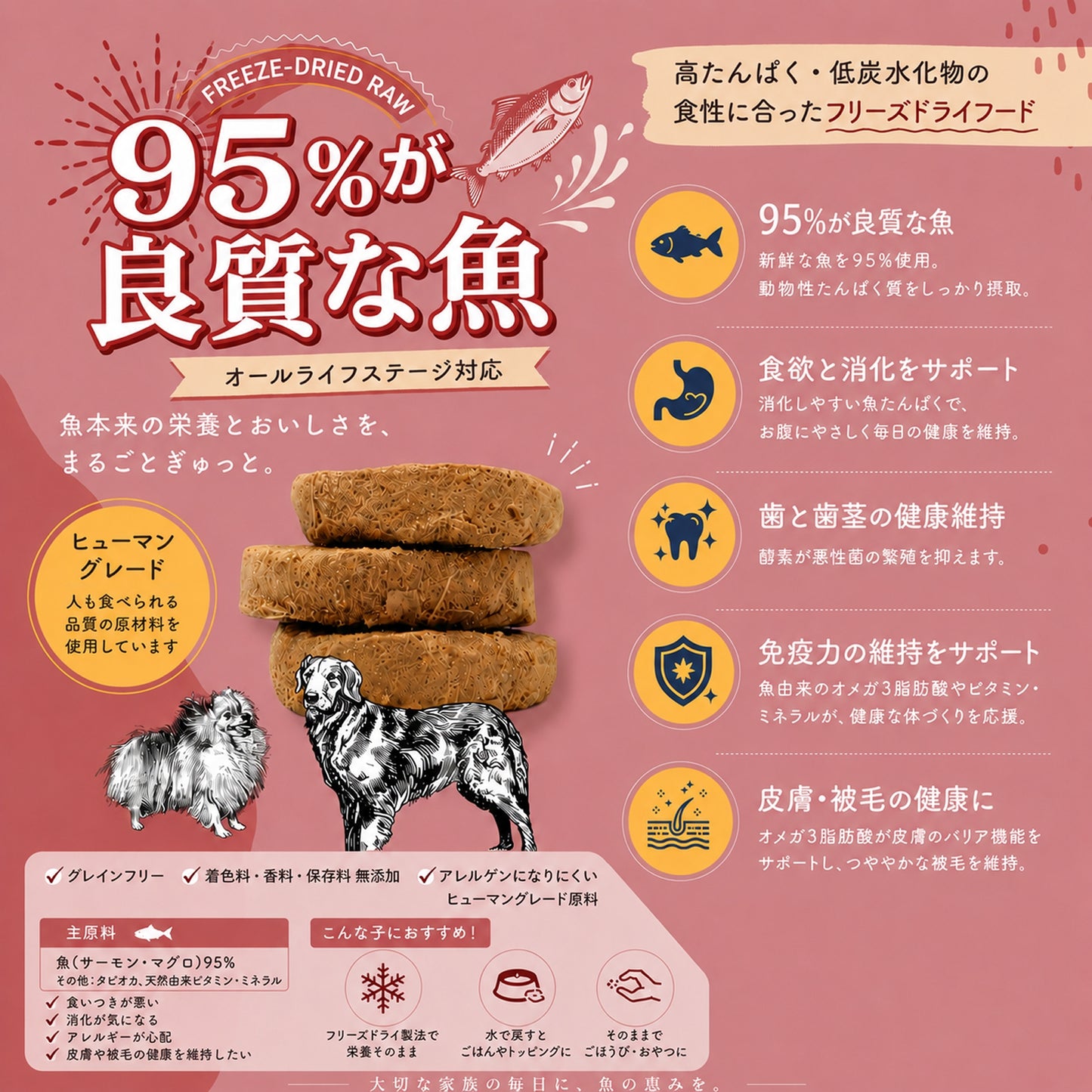 犬用総合栄養食パティーミール マグロフォーミュラ