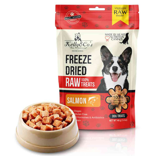 犬用おやつ サーモン Kelly&Co's(ケリーアンドコー) フリーズドライ RAW TREATS
